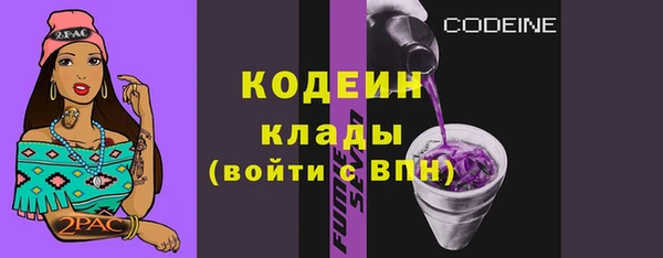 молекула духа Богородицк