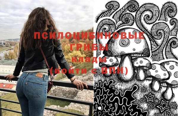 дживик Белокуриха