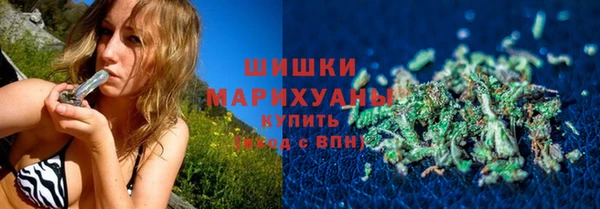 дживик Белокуриха