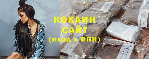 дживик Белокуриха
