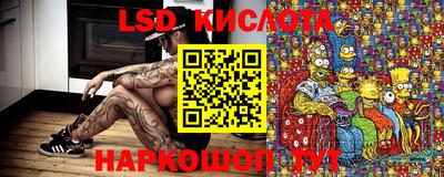 прущие крисы Гусев