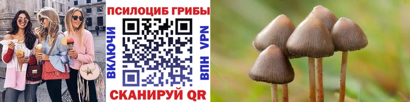 даркнет сайт  Малоярославец  мориарти наркотические препараты  Галлюциногенные грибы ЛСД  omg зеркало 