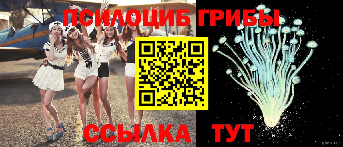 Псилоцибиновые грибы Magic Shrooms  Псилоцибиновые грибы Cubensis  Вход с VPN  Малоярославец 