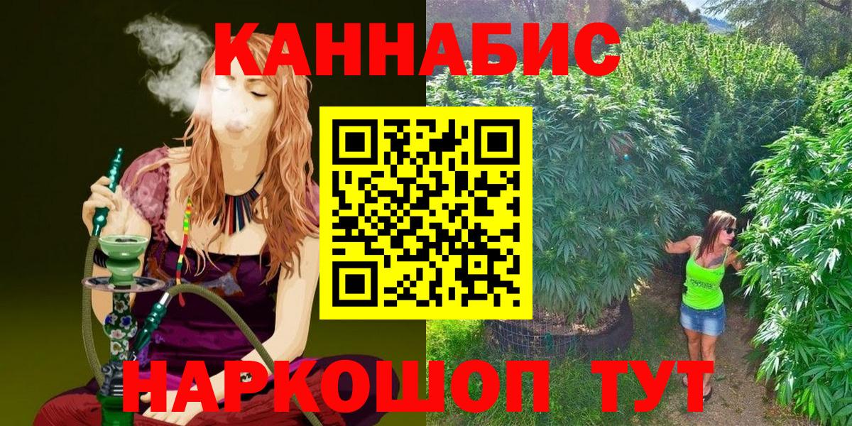 Бошки Шишки семена  Канабис тримм  Вход с VPN  Малоярославец 
